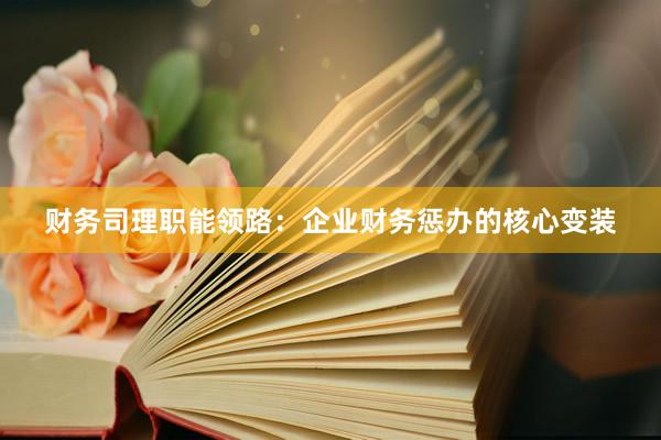 财务司理职能领路：企业财务惩办的核心变装