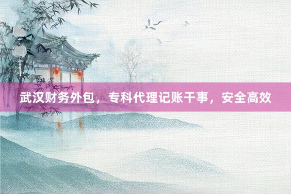 武汉财务外包，专科代理记账干事，安全高效